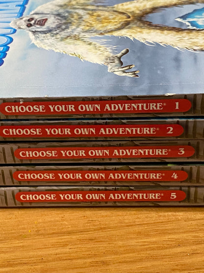 Choose Your Own Adventure 1-5 Complete Set R.A.Montgomery Paperback 2006 GD/VGC