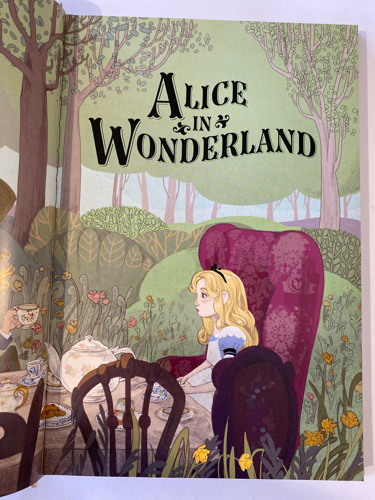 Alice In Wonderland Graphic Novel Russell Punter Simona Bussi Usborne Books VGC