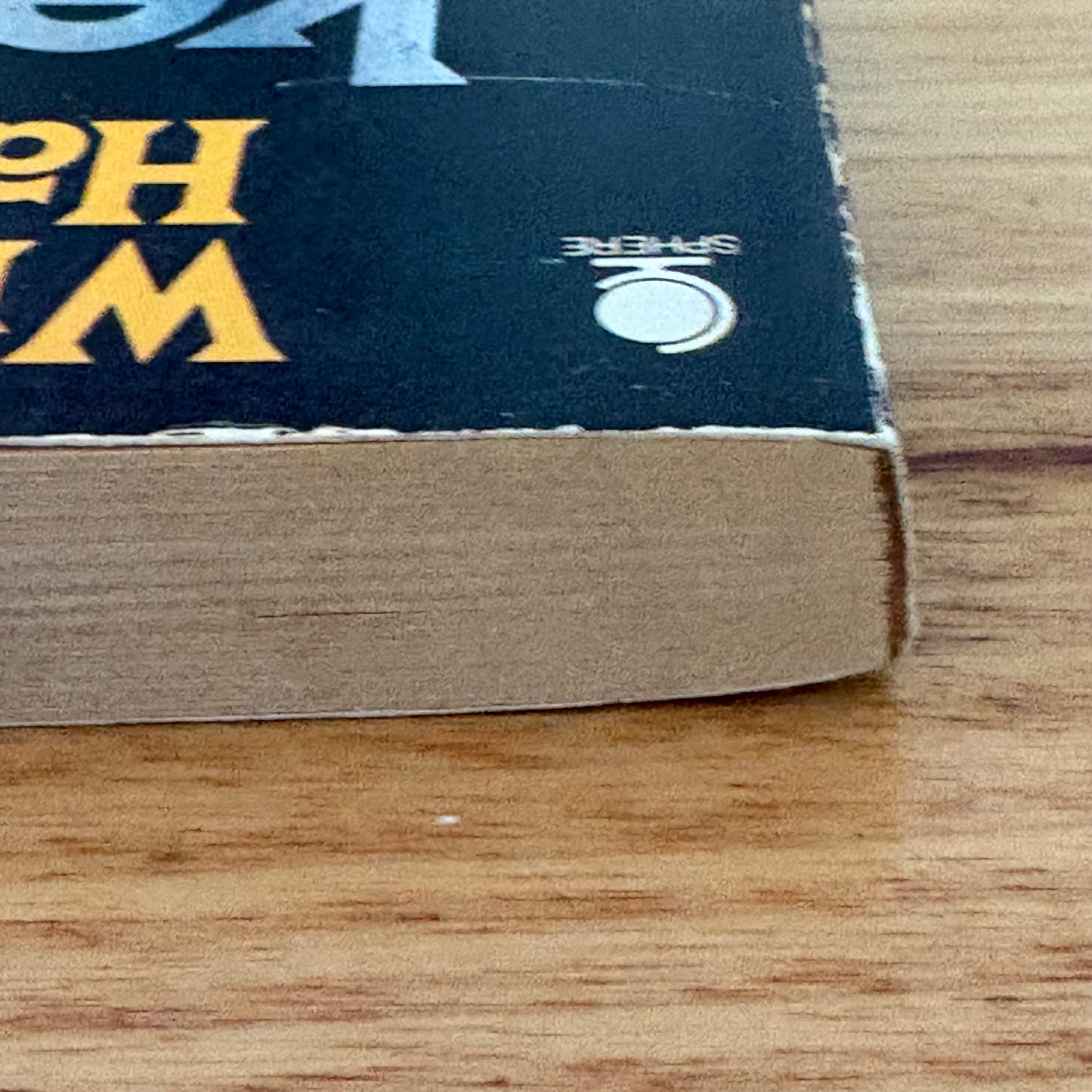 Keeper of the Children by William H. Hallahan Paperback Vintage