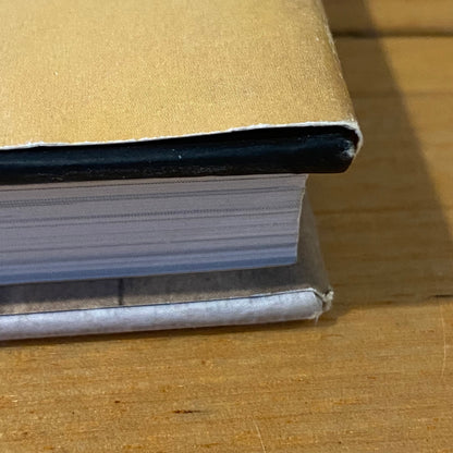 Lemony Snicket: The Unauthorised Biography 1st Print Hardcover 2003 GD