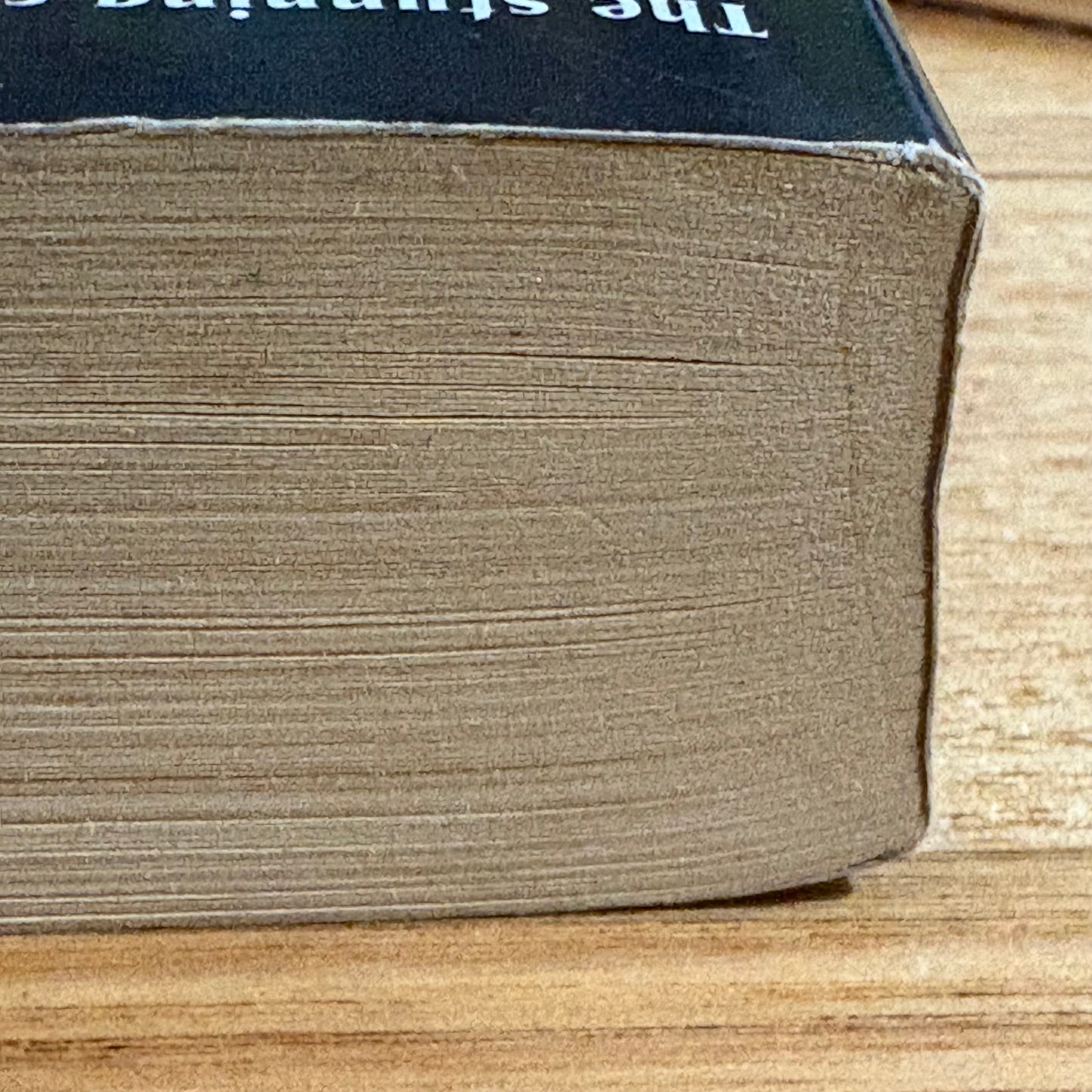 The Demon Apostle R.A. Salvatore Fantasy Paperback 2000 GD