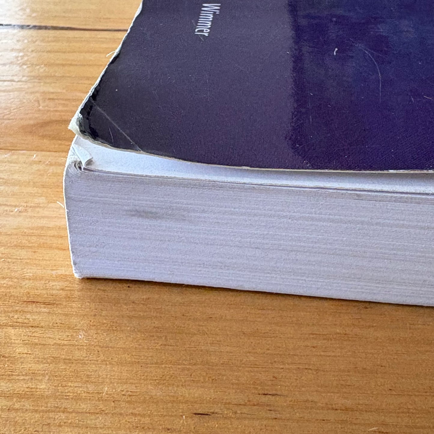 Acting in Person and in Style in Australia Paperback 2011 GD