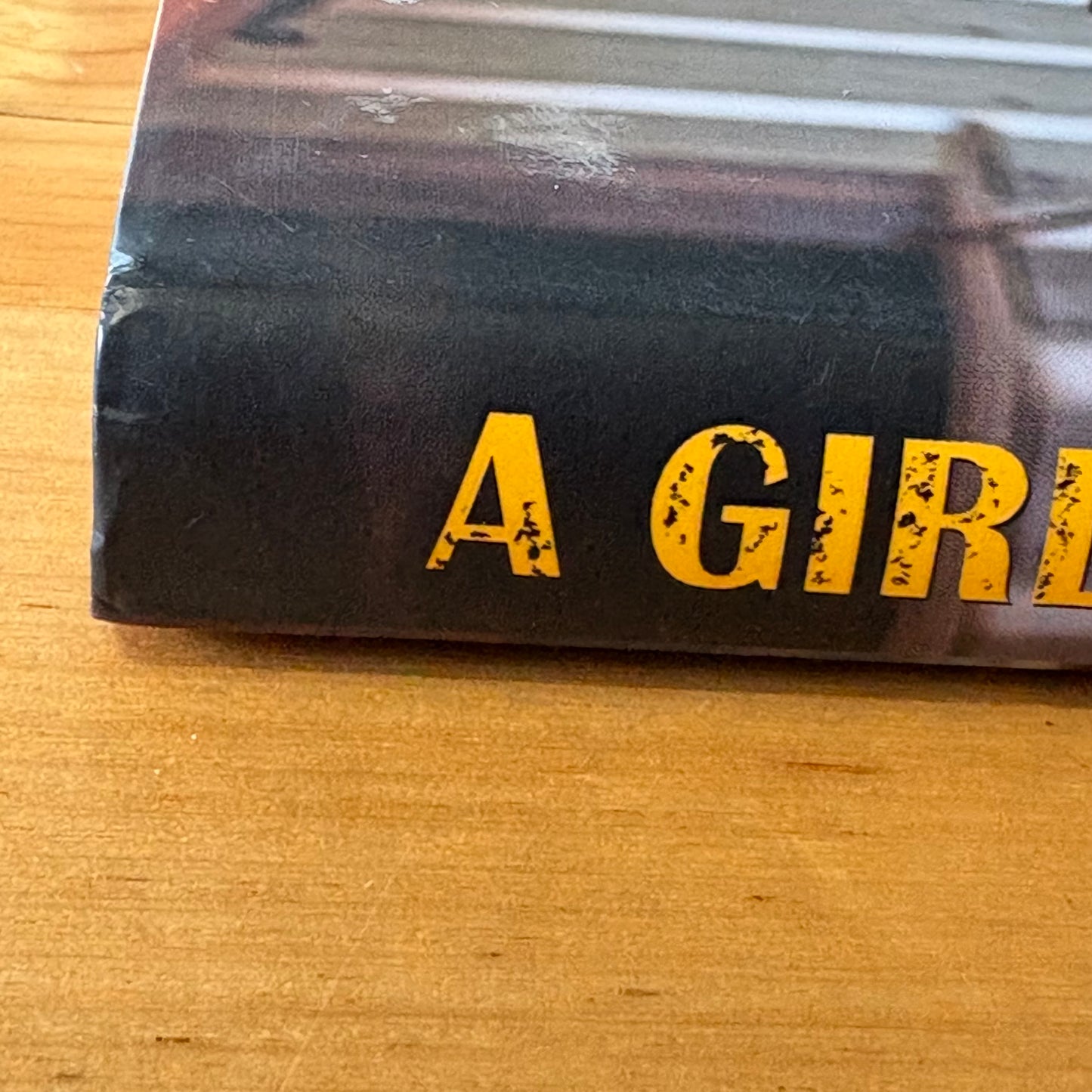 A Girl's Best Friend by David Darcy Hardcover GD