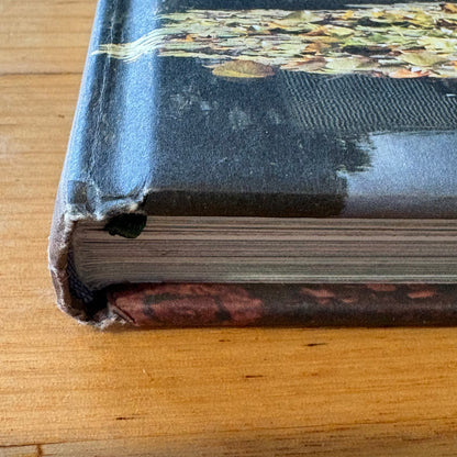 Stuart Rattle's Musk Farm Paul Bangay Hardcover 2014 GD