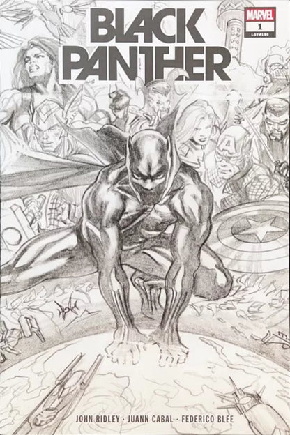 Black Panther (2021) #1 2nd Printing Alex Ross